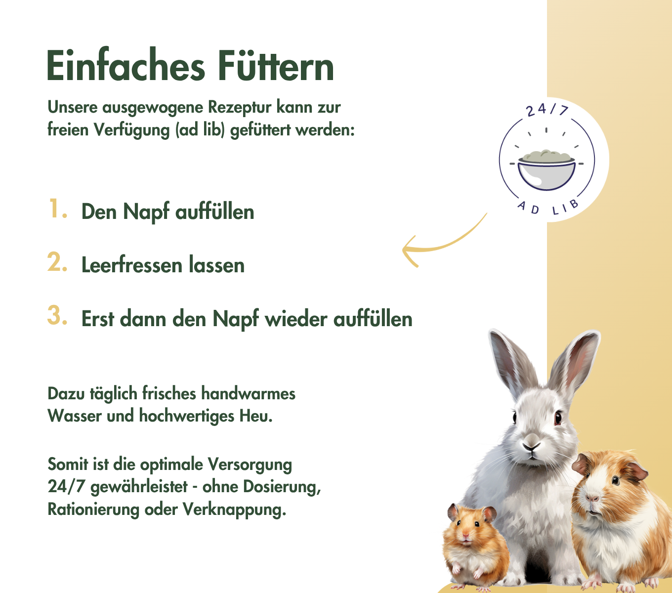 FarbmausTraum EXPERT