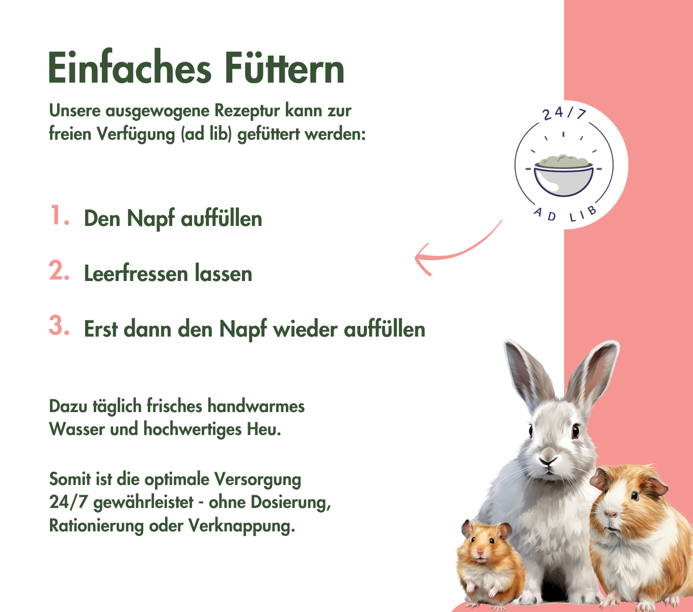KaninchenTraum SPECIAL EDITION VEGETABLES