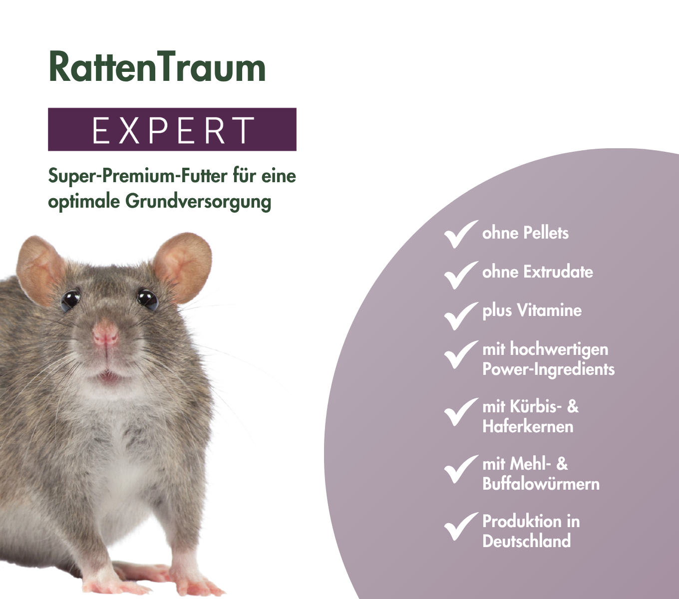 RattenTraum EXPERT