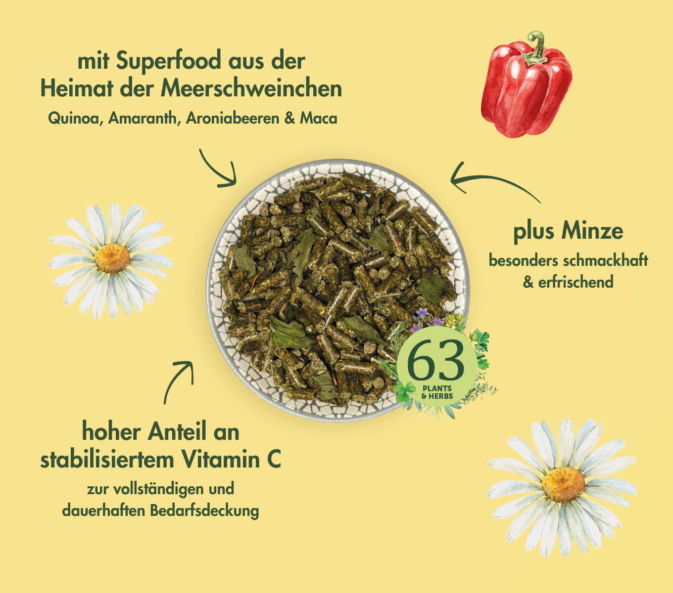 MeerschweinchenTraum BASIC 4 kg