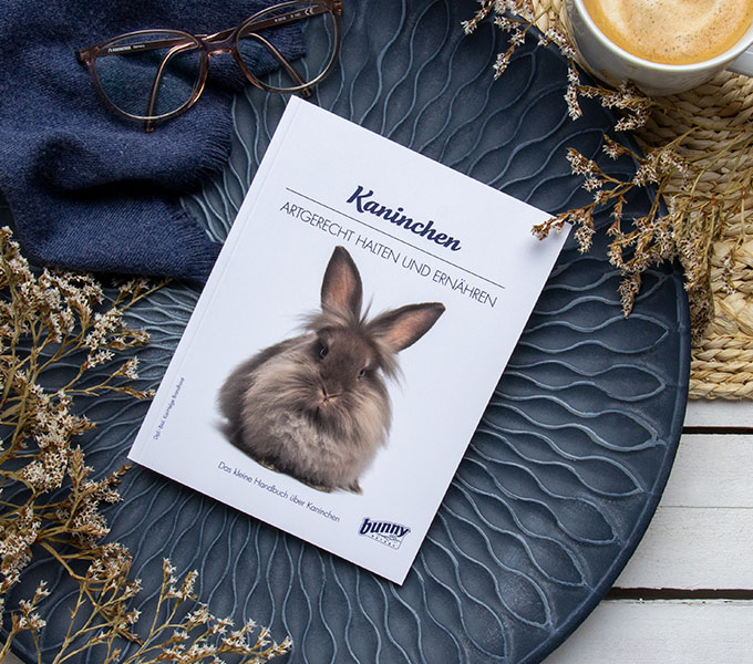 bunnyBooks Kaninchen Cover