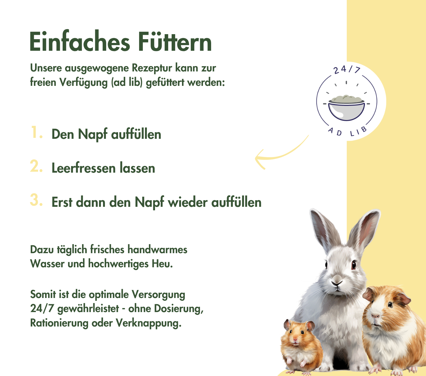KaninchenTraum BASIC