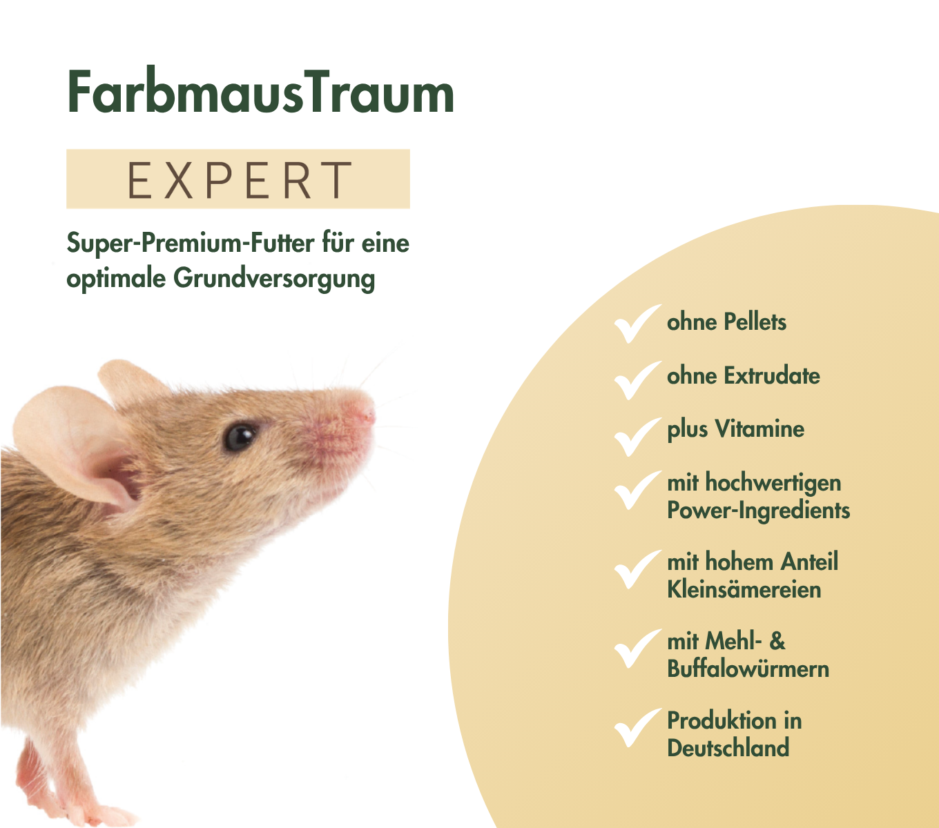 FarbmausTraum EXPERT