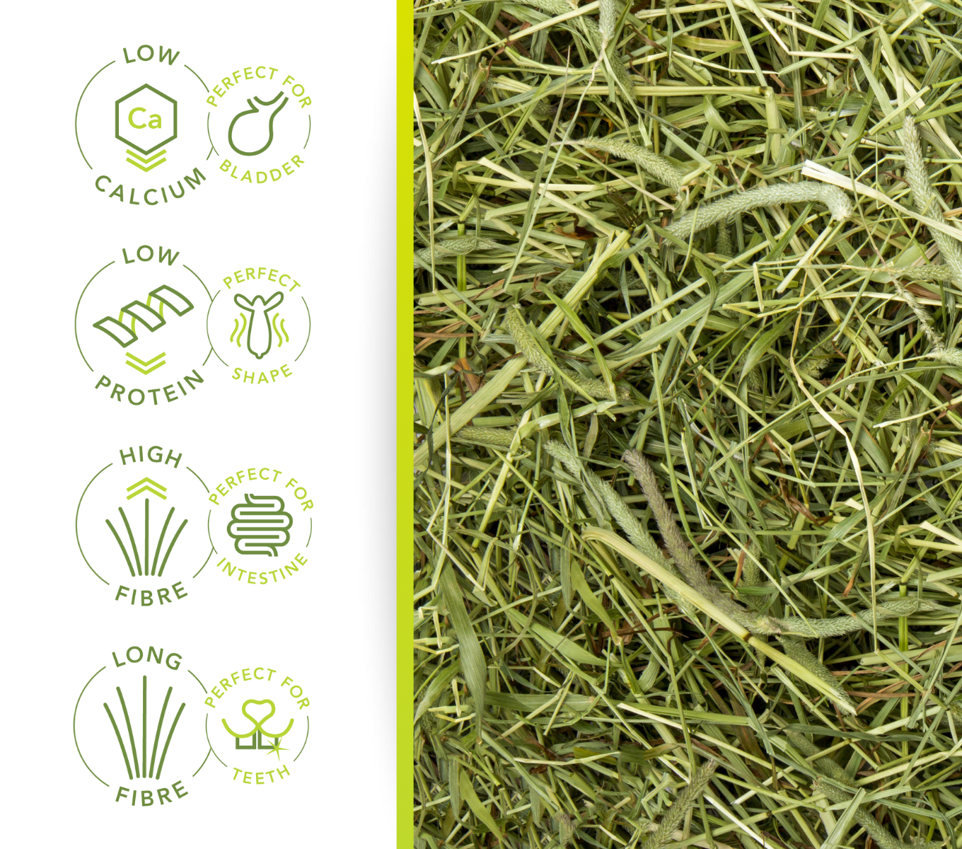 Timothy - Hochqualitatives Heu mit wenig Calcium für Kleintiere