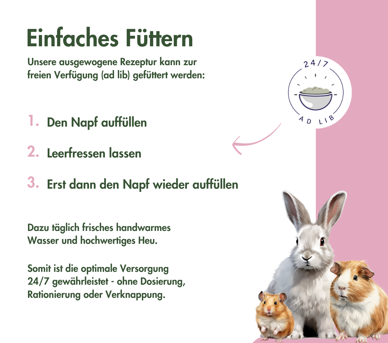 MeerschweinchenTraum YOUNG