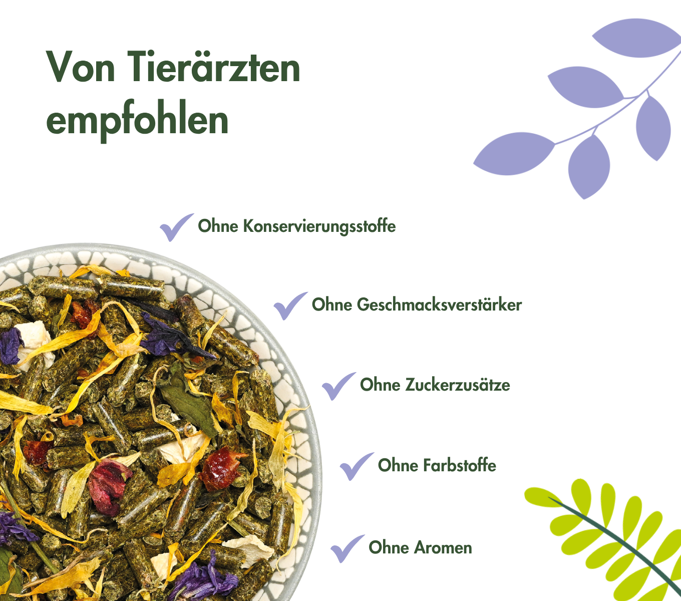 DeguTraum BASIC