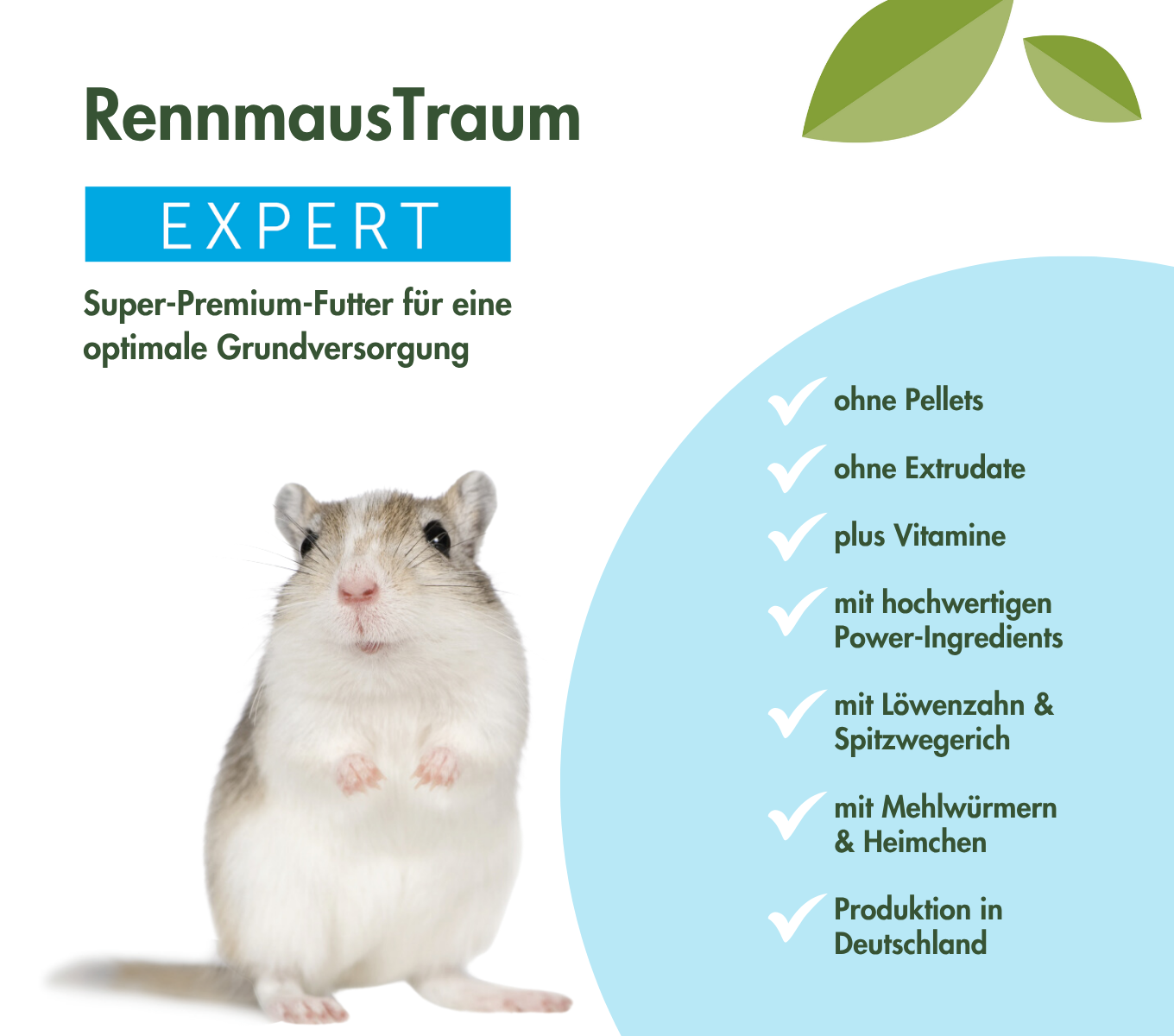 RennmausTraum EXPERT  
