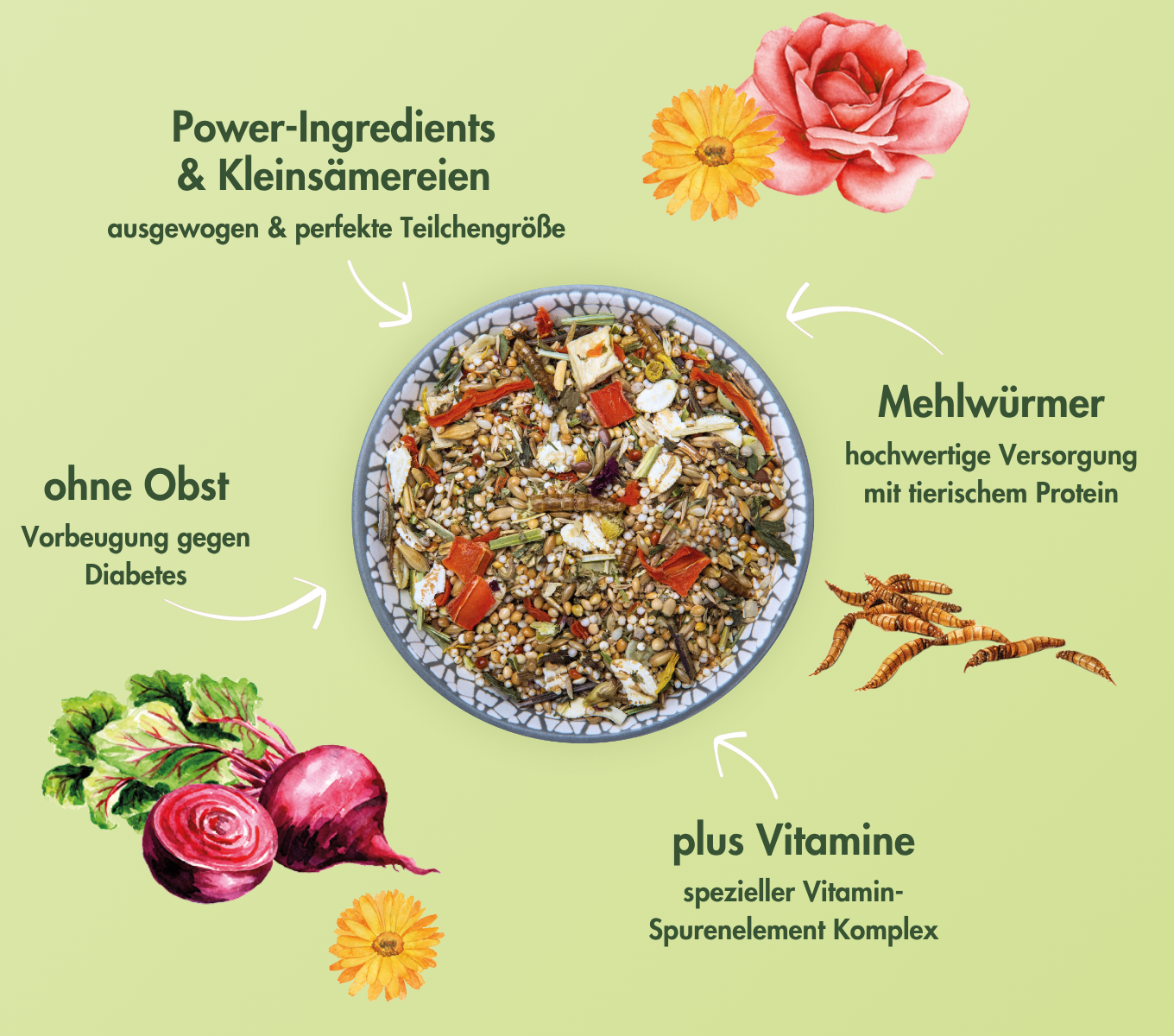 ZwerghamsterTraum EXPERT - Hochwertige Ernährung für Zwerghamster