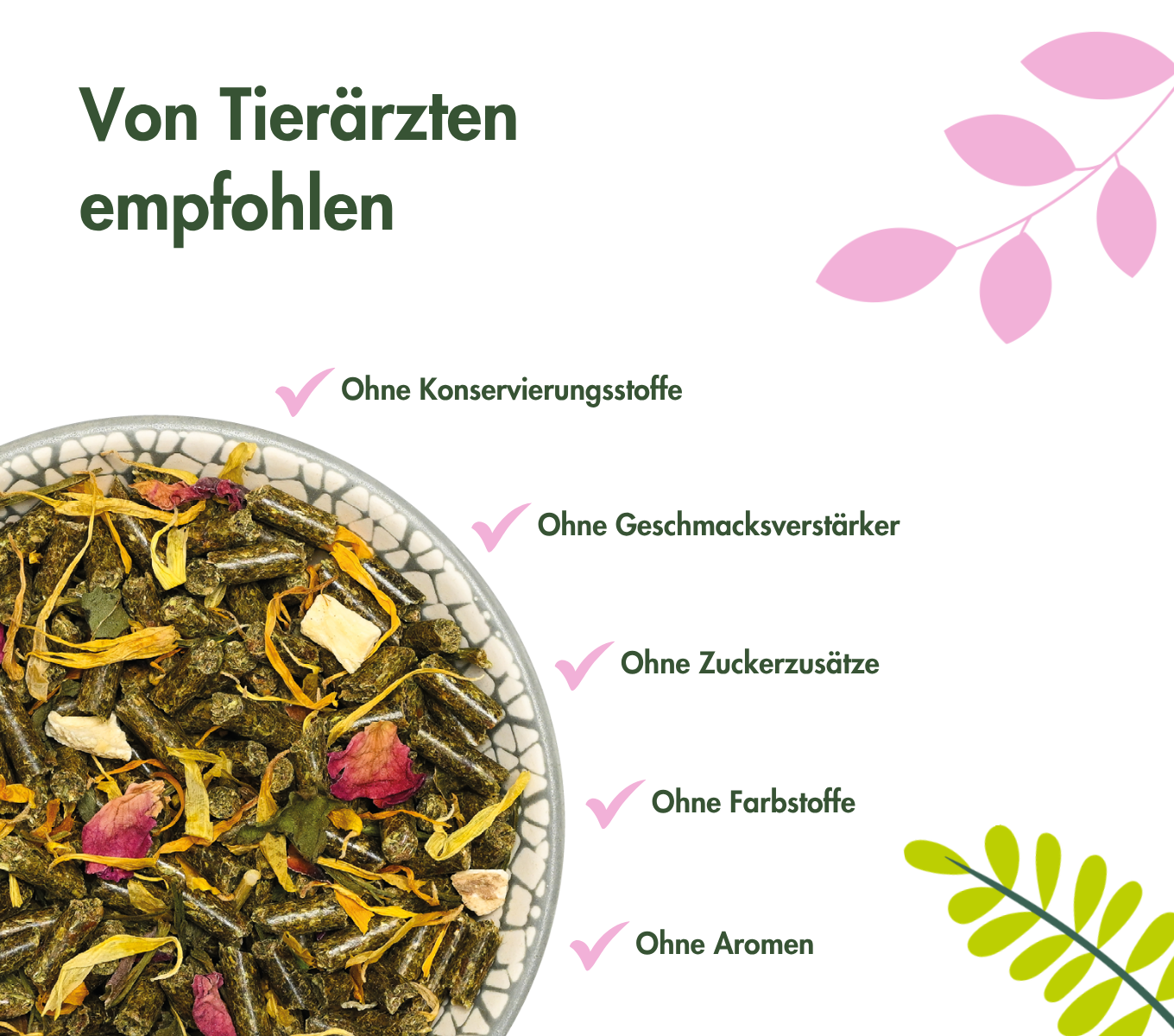 ChinchillaTraum BASIC