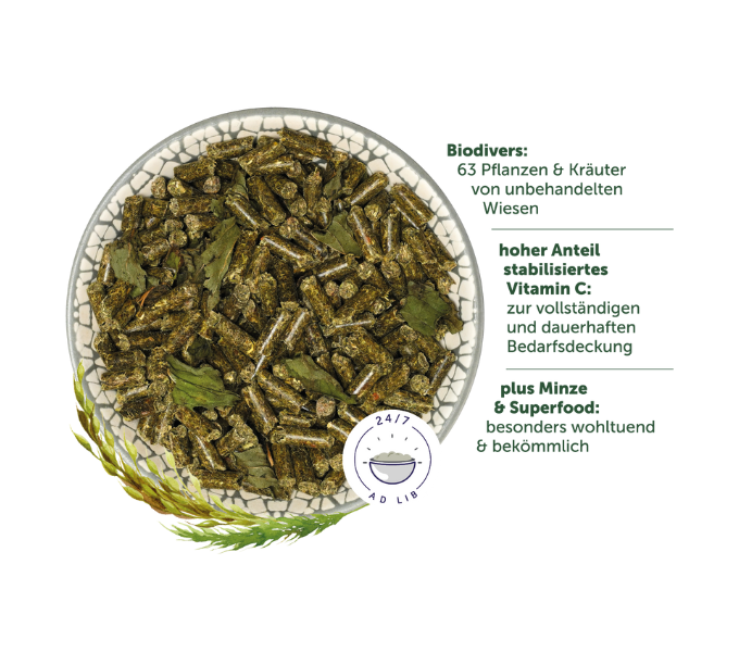 MeerschweinchenTraum BASIC