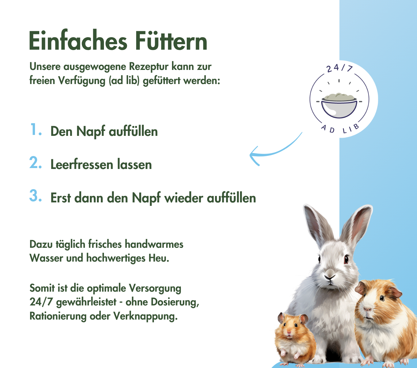 RennmausTraum BASIC