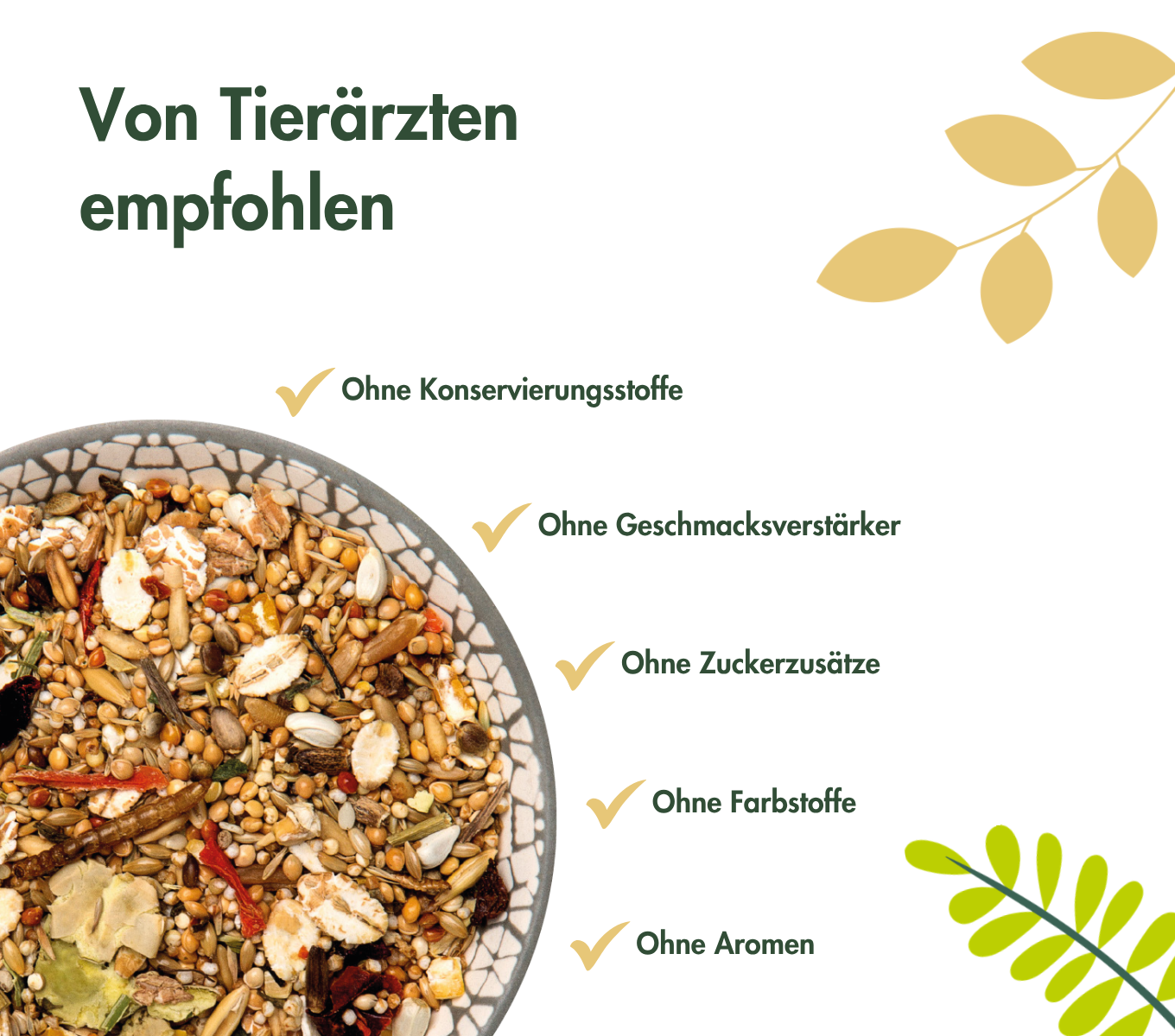 FarbmausTraum EXPERT