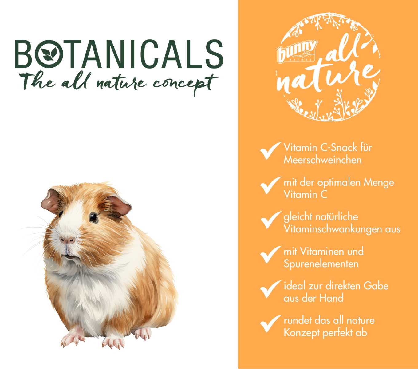 BOTANICALS Vitamin - Vitamin C-Snack
