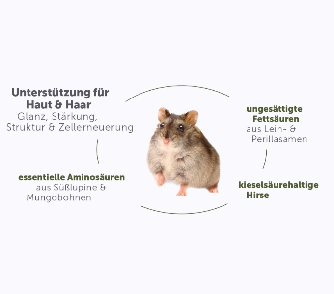 HamsterTraum EXPERT HAIR & SKIN