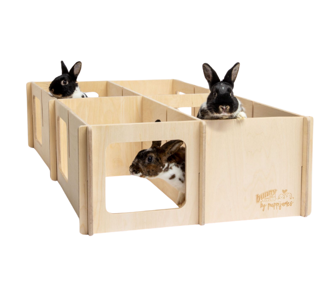 AKTION -  by puppijames Labyrinth SET LARGE & MEDIUM