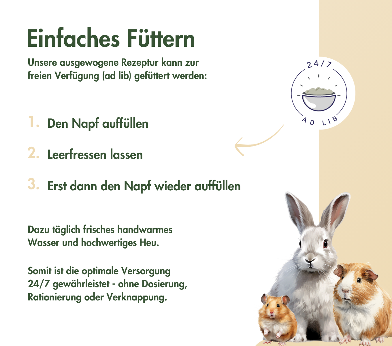 FarbmausTraum BASIC