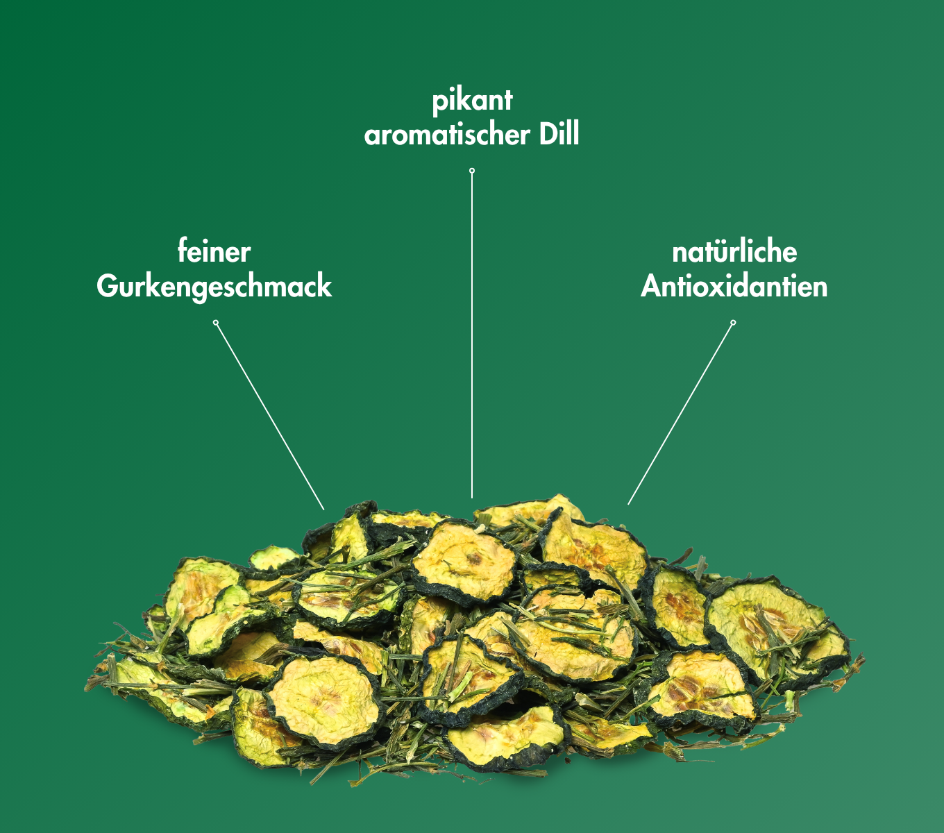EnjoyNature - Gurke & Dill