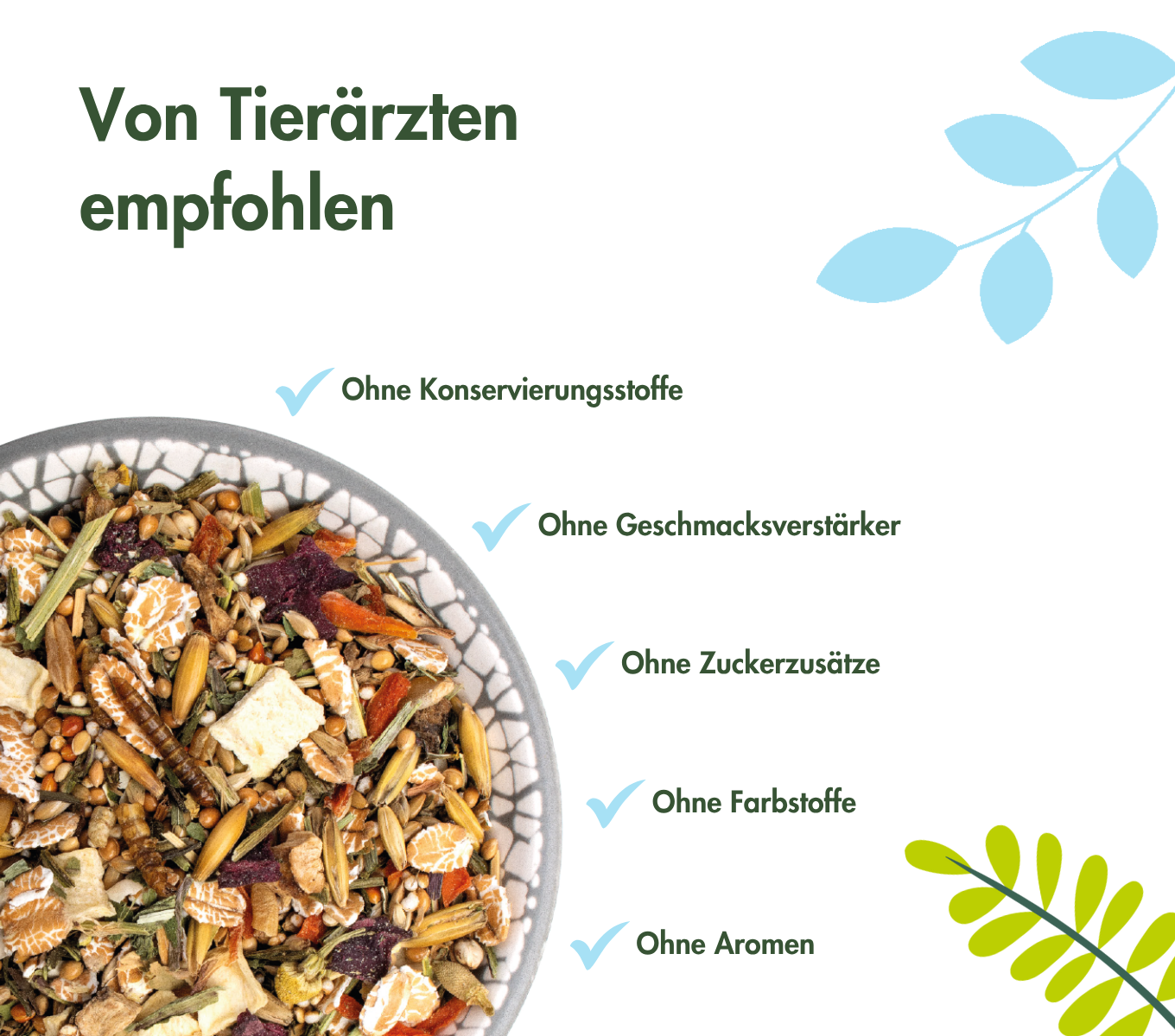 RennmausTraum EXPERT  