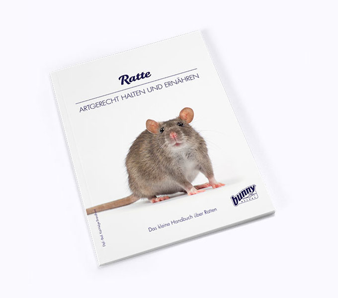 bunnyBooks - Ratte