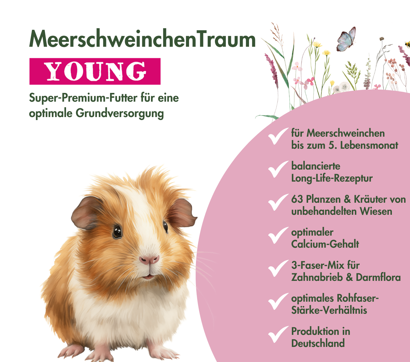 MeerschweinchenTraum YOUNG