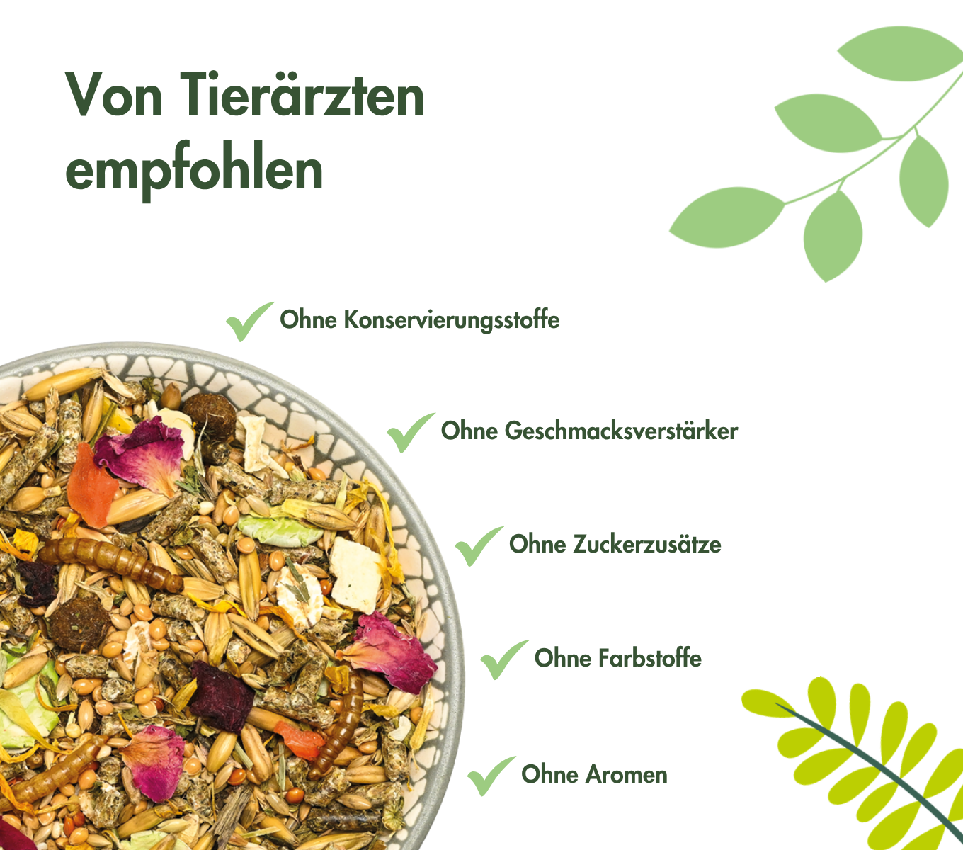 ZwerghamsterTraum BASIC