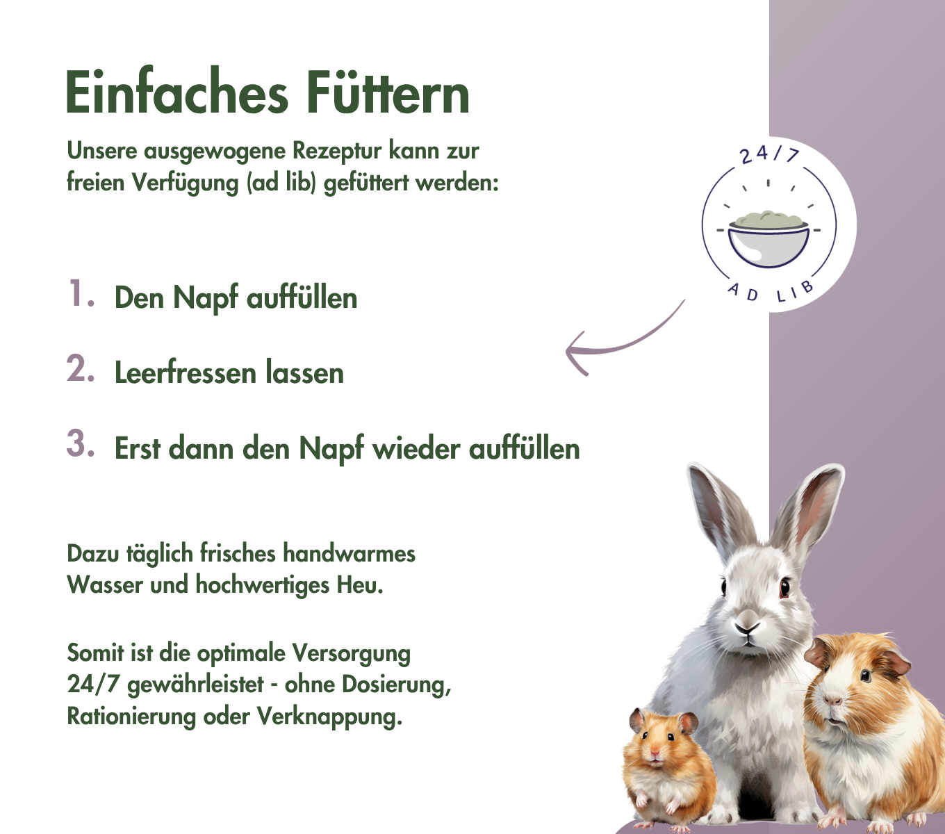 RattenTraum BASIC