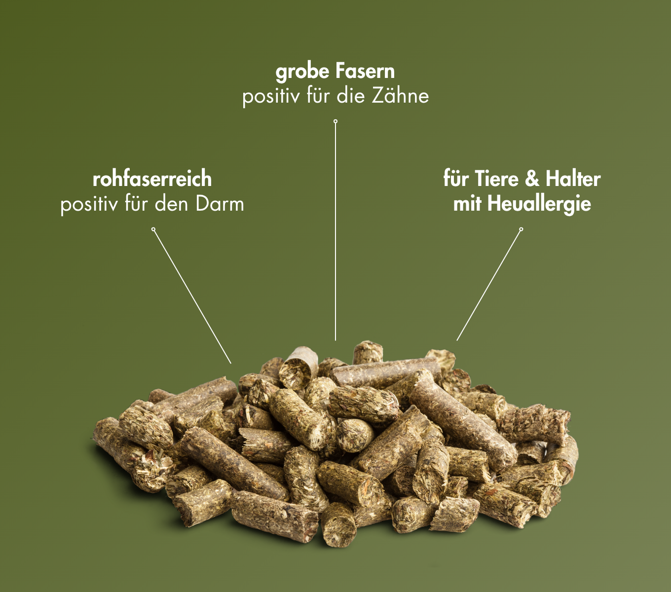 EnjoyNature - Allgäuer FrischGrün Snack