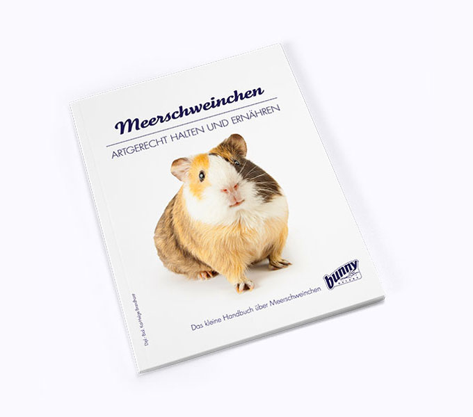 bunnyBooks - Meerschweinchen