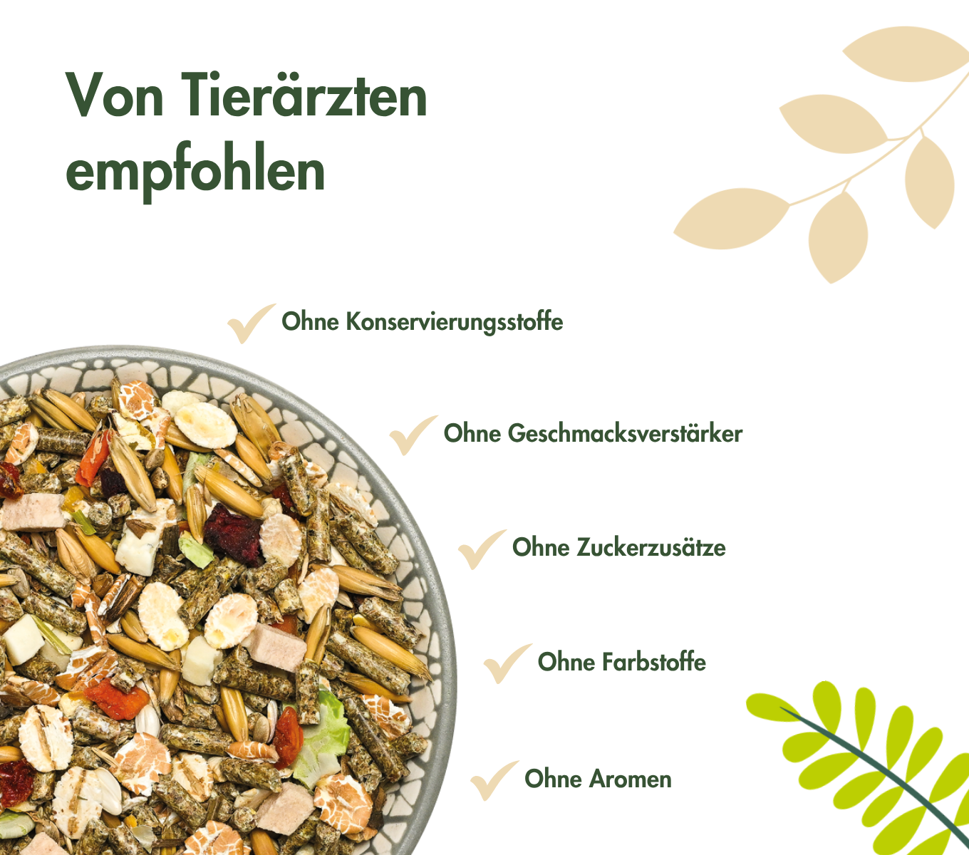 FarbmausTraum BASIC