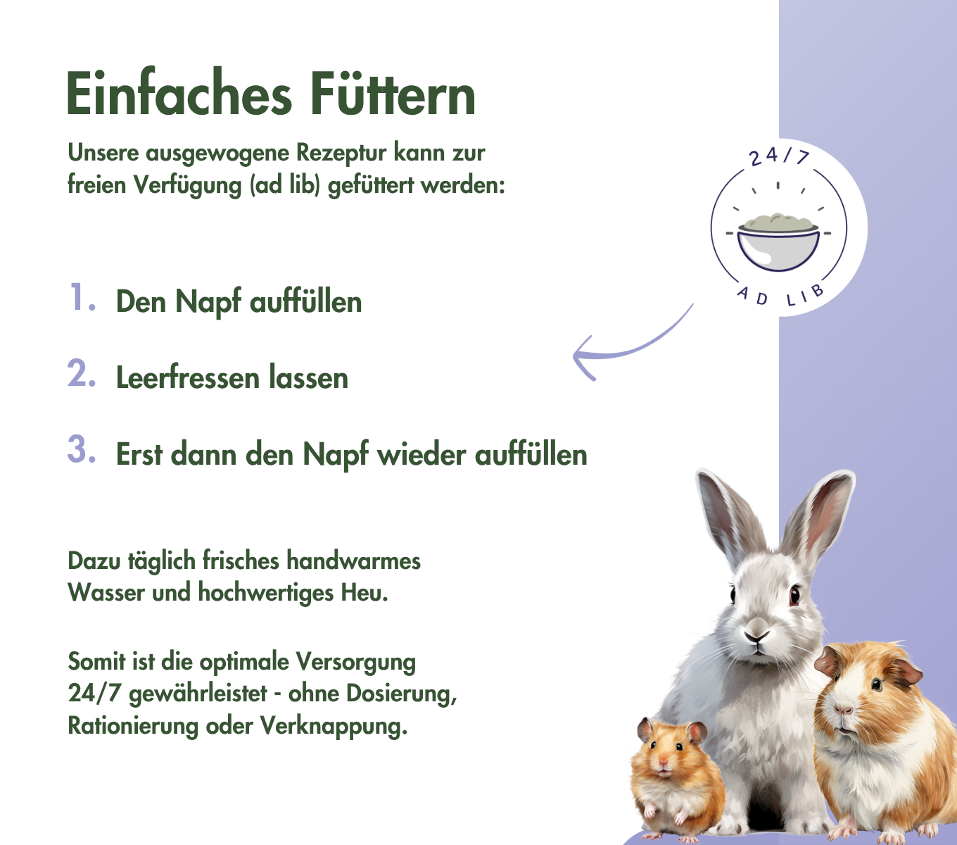 DeguTraum BASIC