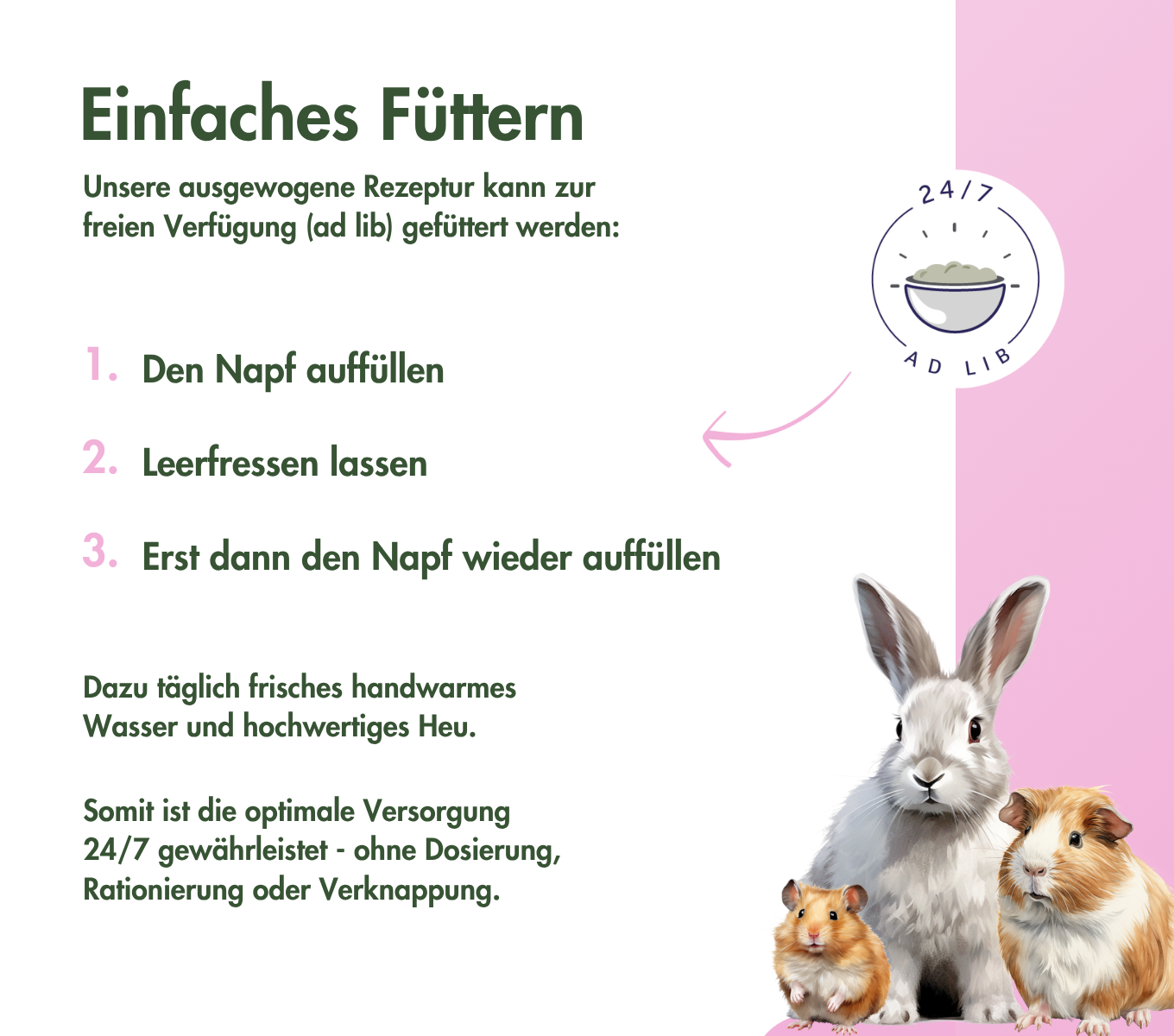 ChinchillaTraum BASIC
