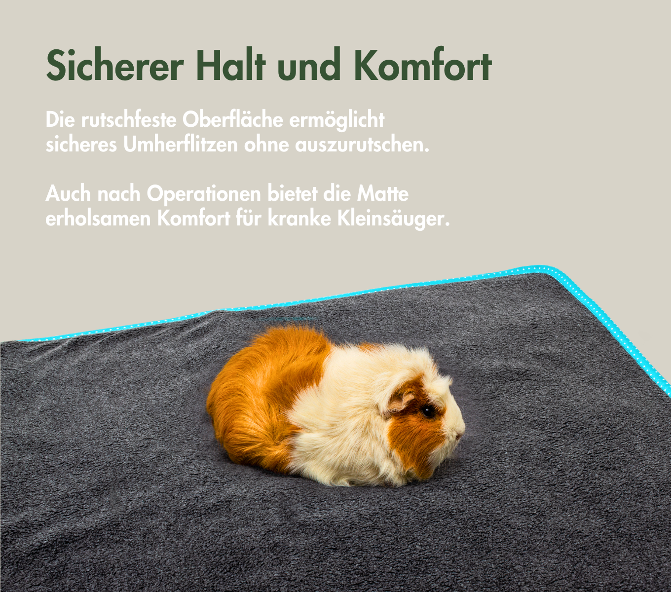 bunnyBedding - Easy Türkis - Saugstarke Matte aus Molton für Kleintiere