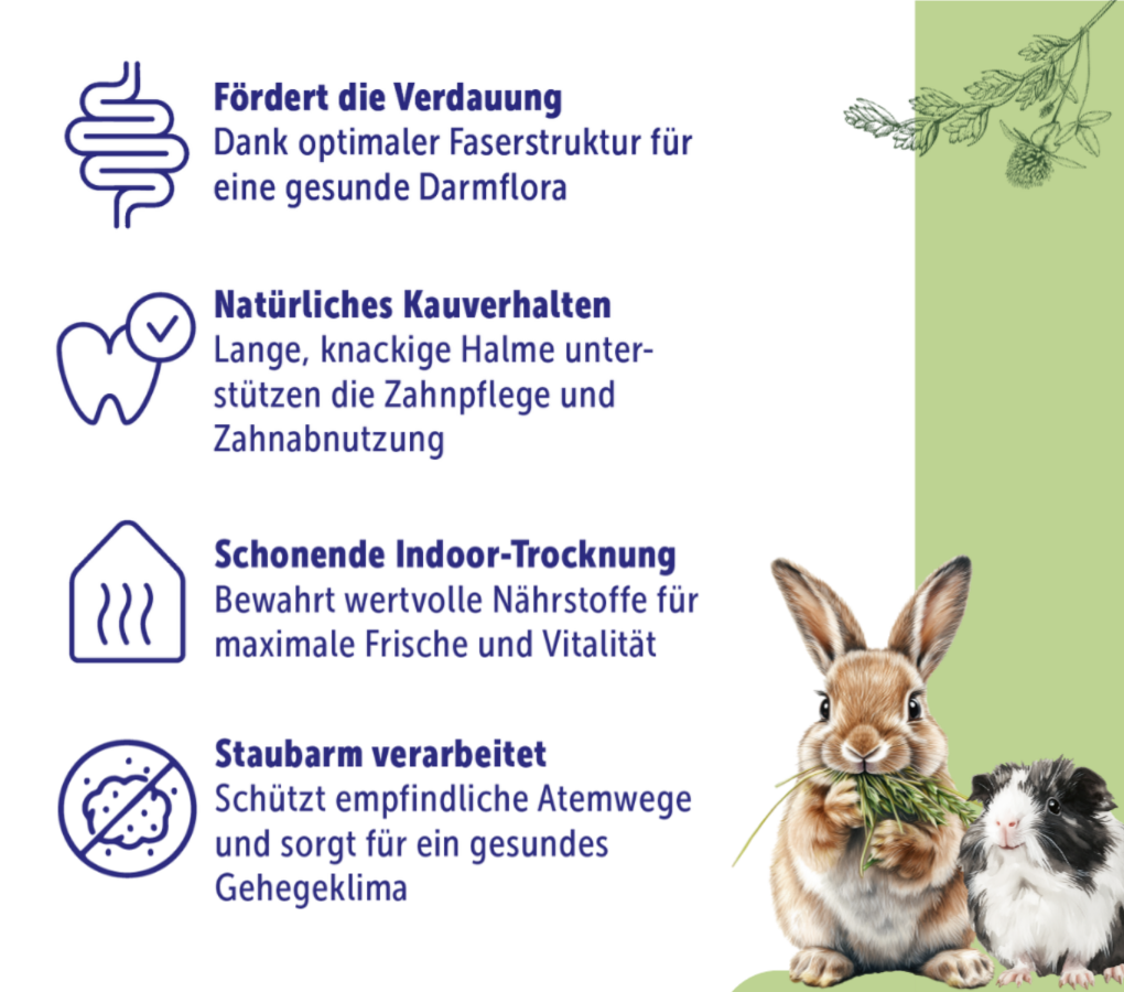 FrischGras Heu Blüten - Aromatisches Heu mit Blüten für Kleintiere FrischGras Heu Blüten - Aromatisches Heu mit Blüten für Kleintiere