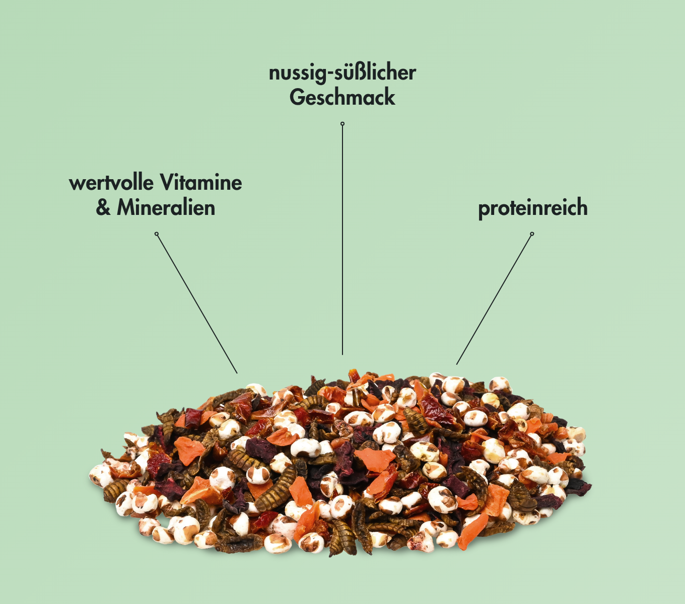 EnjoyNature - Soldatenfliegenlarven-Mix 