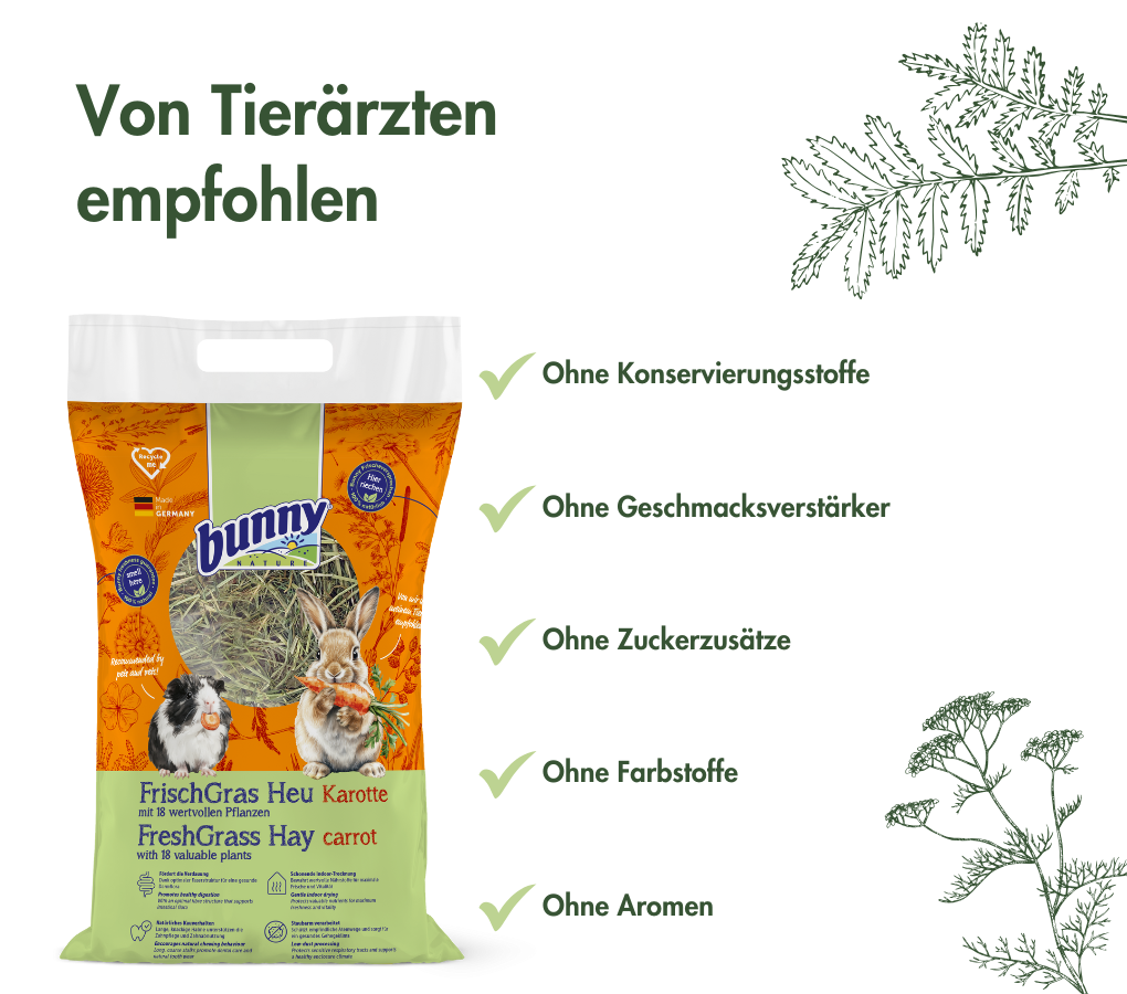 FrischGras Heu Karotte - Aromatisches Heu mit Karottenstücken für Kleintiere