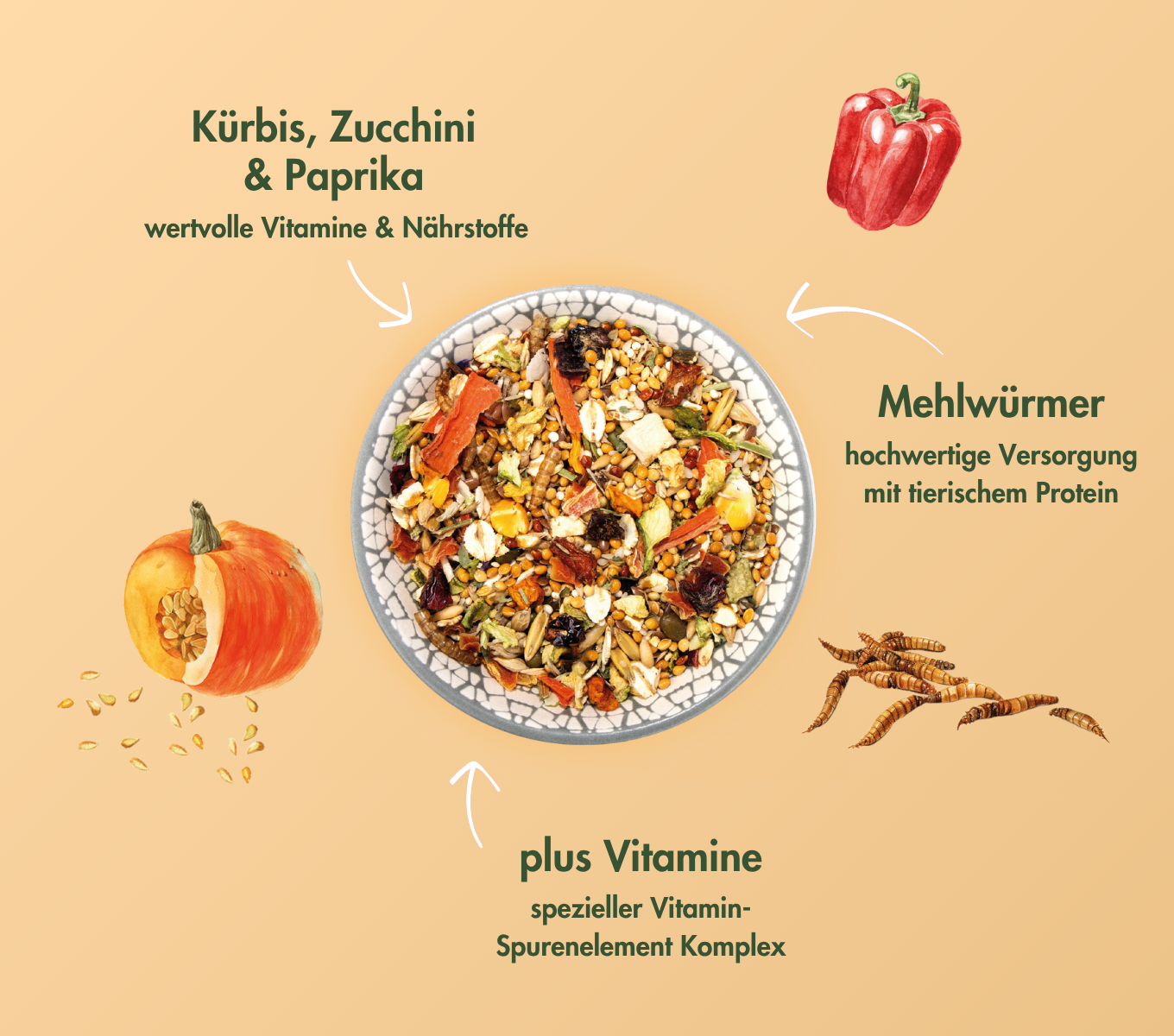 HamsterTraum EXPERT VEGETABLE