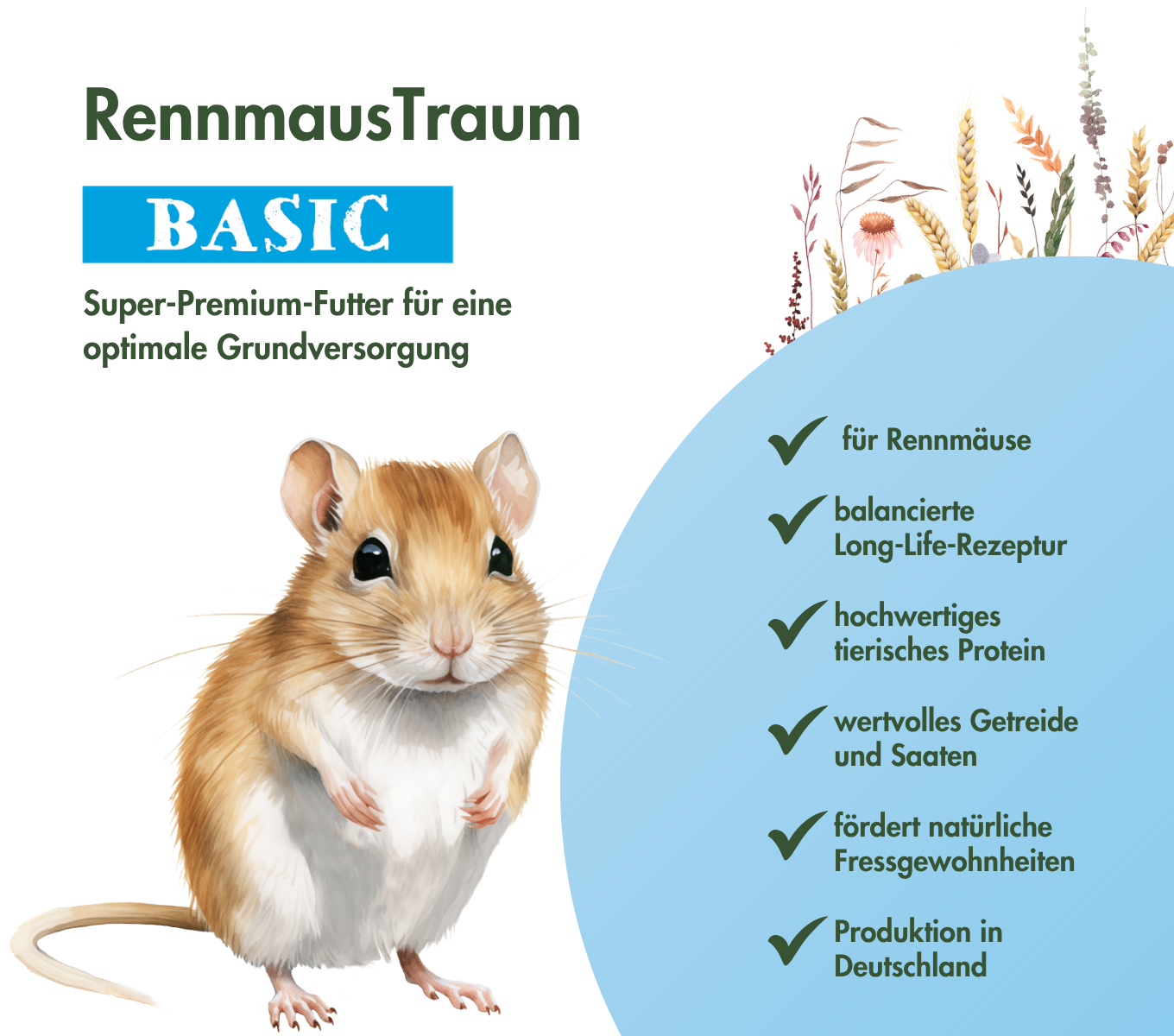 RennmausTraum BASIC