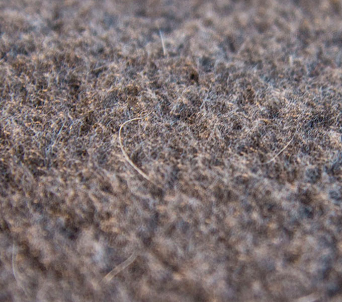 bunnyBedding Easy Details