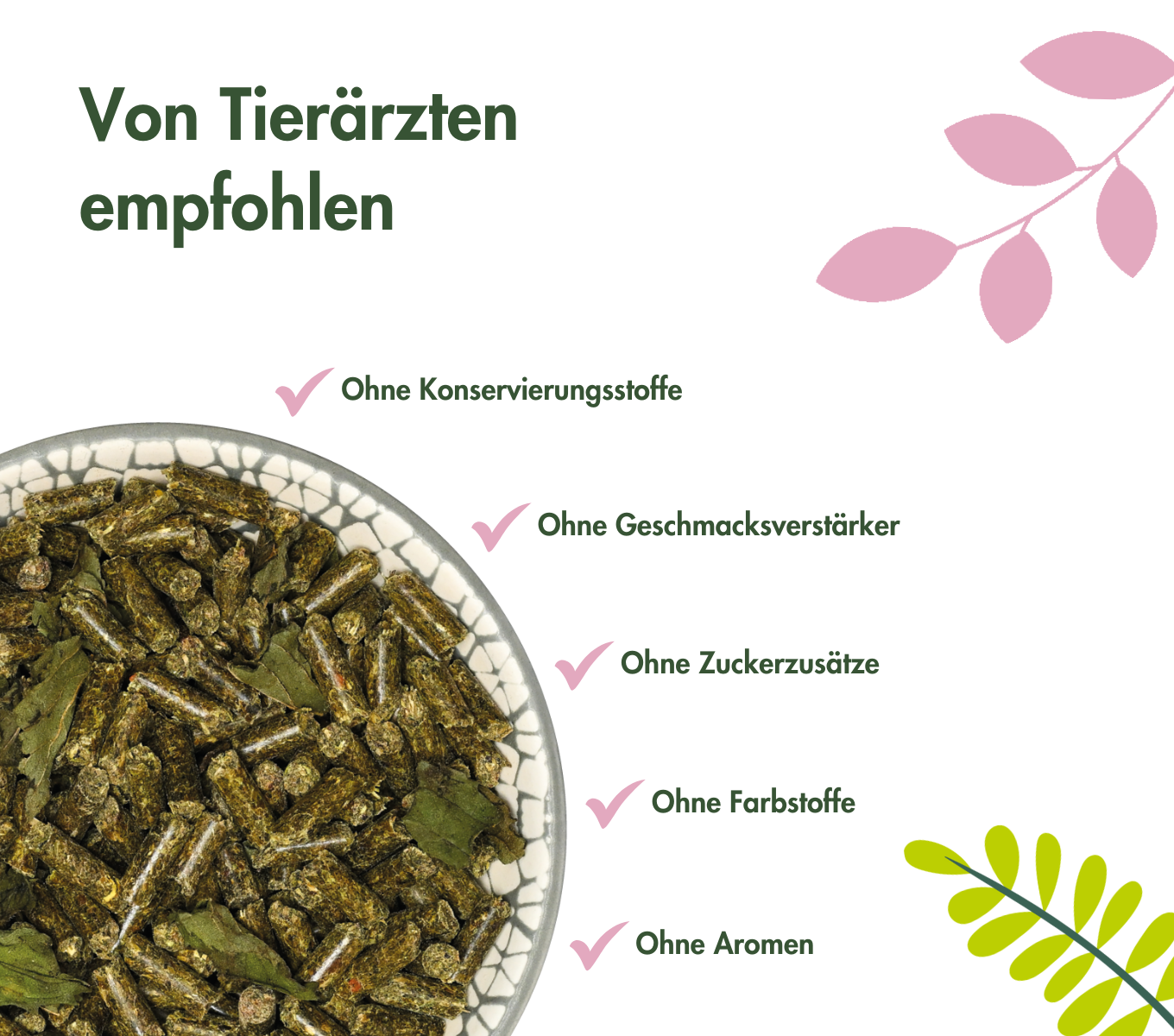 MeerschweinchenTraum YOUNG