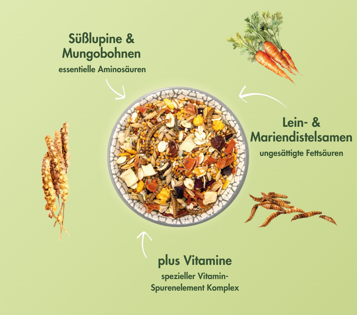 ZwerghamsterTraum EXPERT HAIR & SKIN