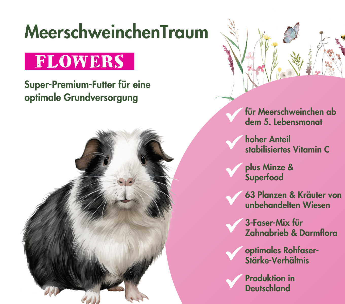 MeerschweinchenTraum SPECIAL EDITION FLOWERS