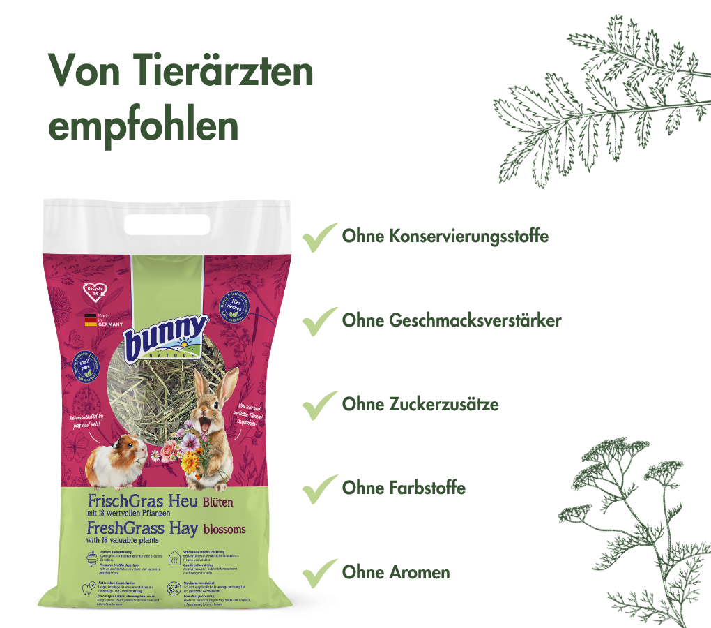 FrischGras Heu Blüten - Aromatisches Heu mit Blüten für Kleintiere FrischGras Heu Blüten - Aromatisches Heu mit Blüten für Kleintiere