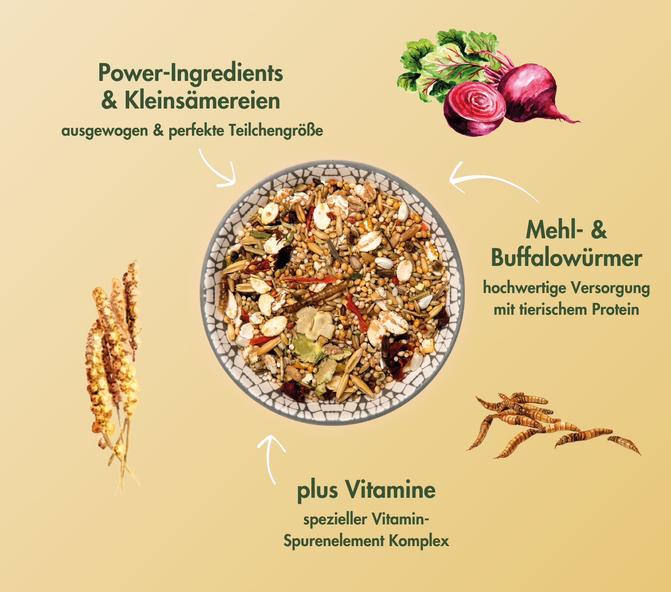 FarbmausTraum EXPERT