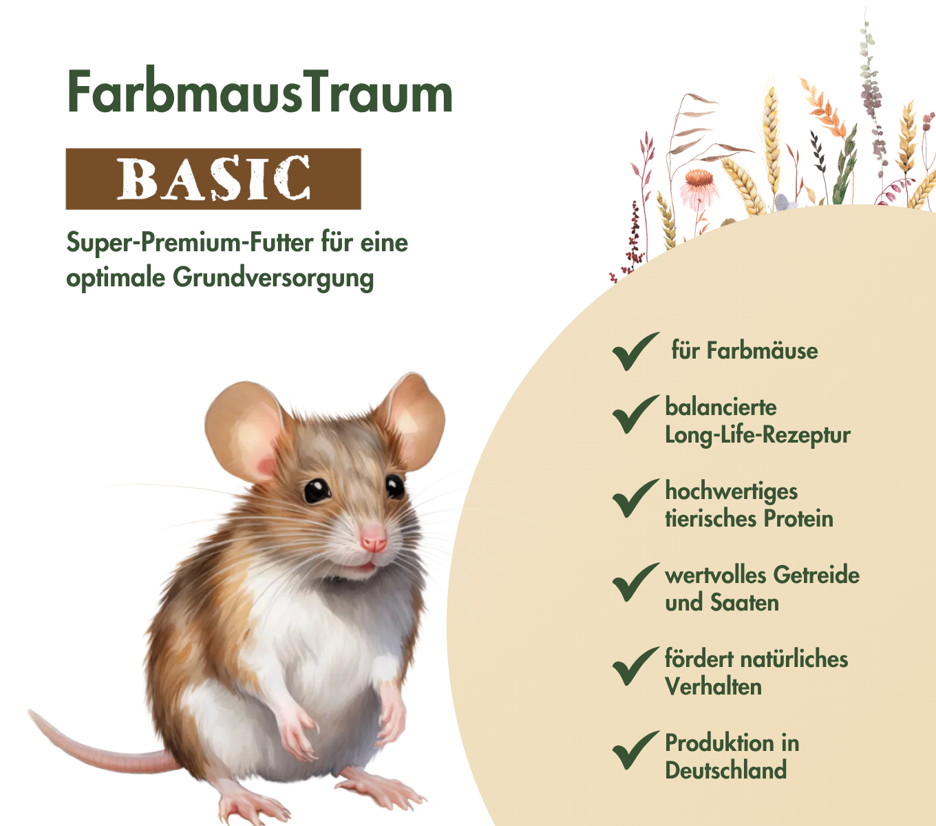 FarbmausTraum BASIC