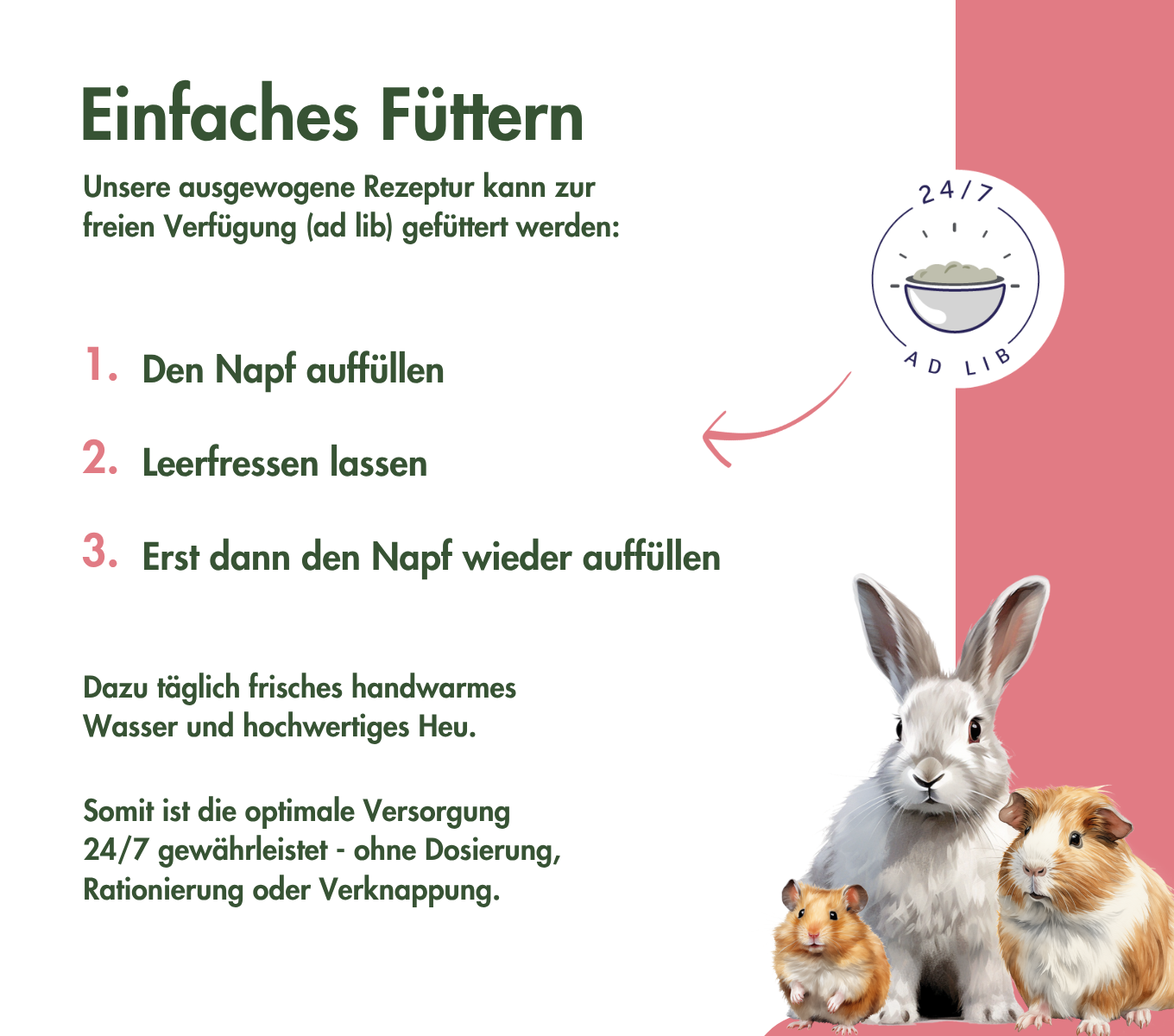 KaninchenTraum SPECIAL EDITION STRAWBERRY-MINT