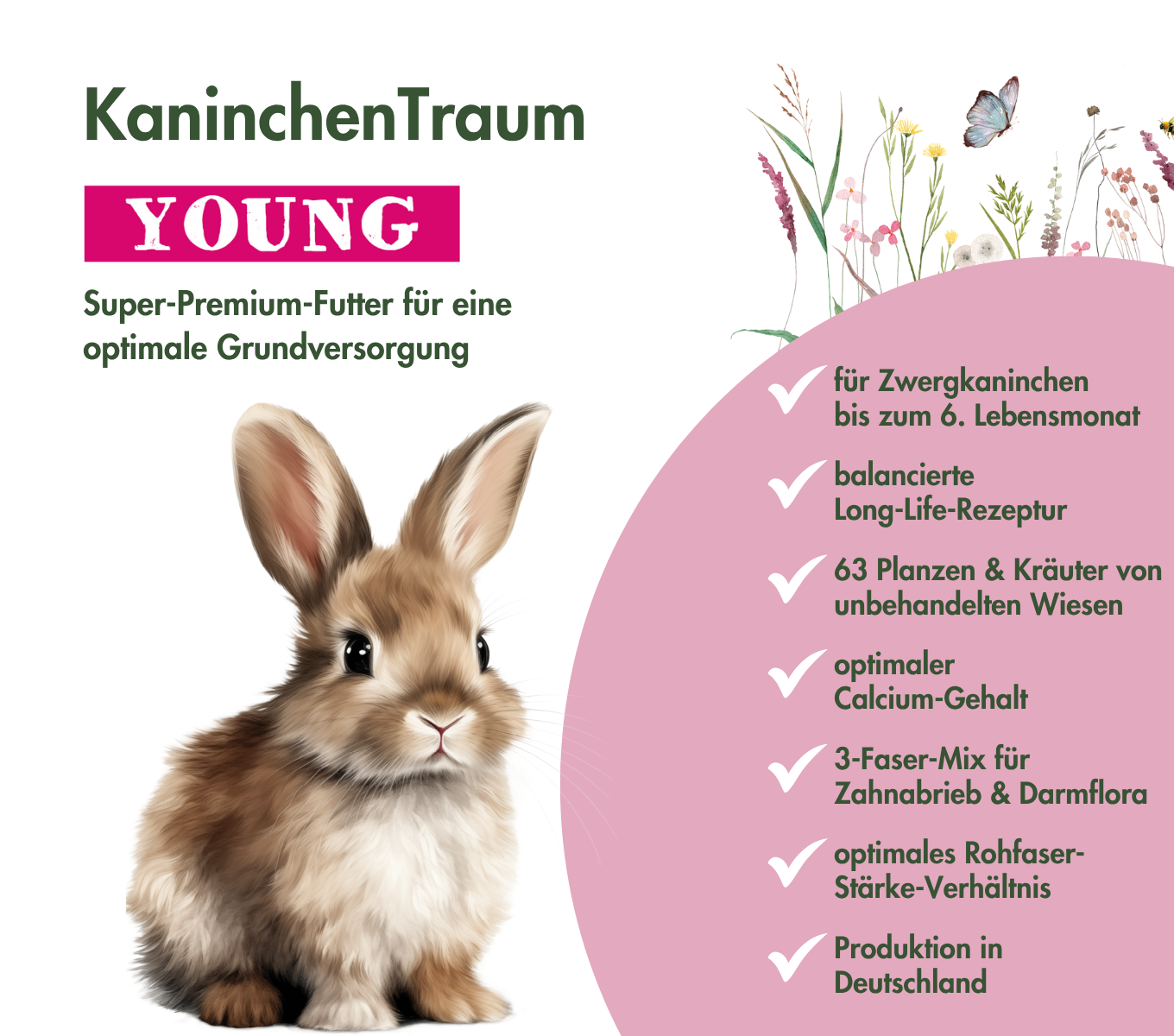 KaninchenTraum YOUNG