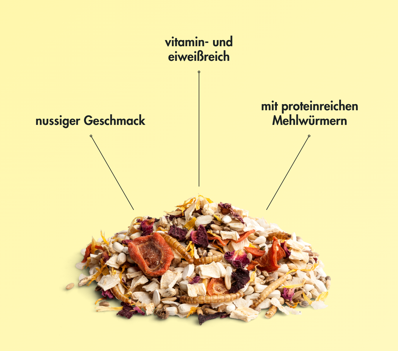 EnjoyNature - Nussknacker