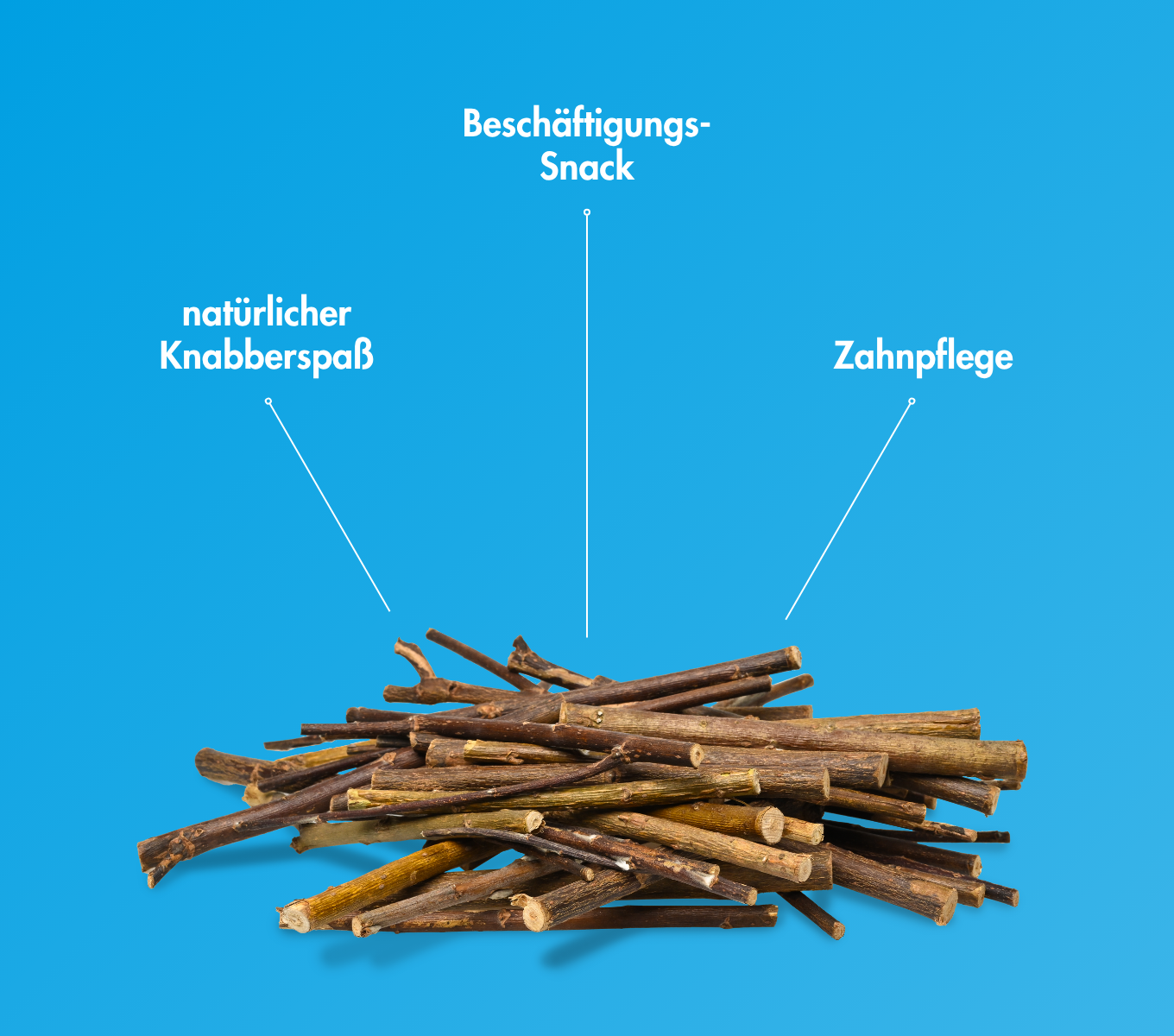 EnjoyNature - Weidenhölzer