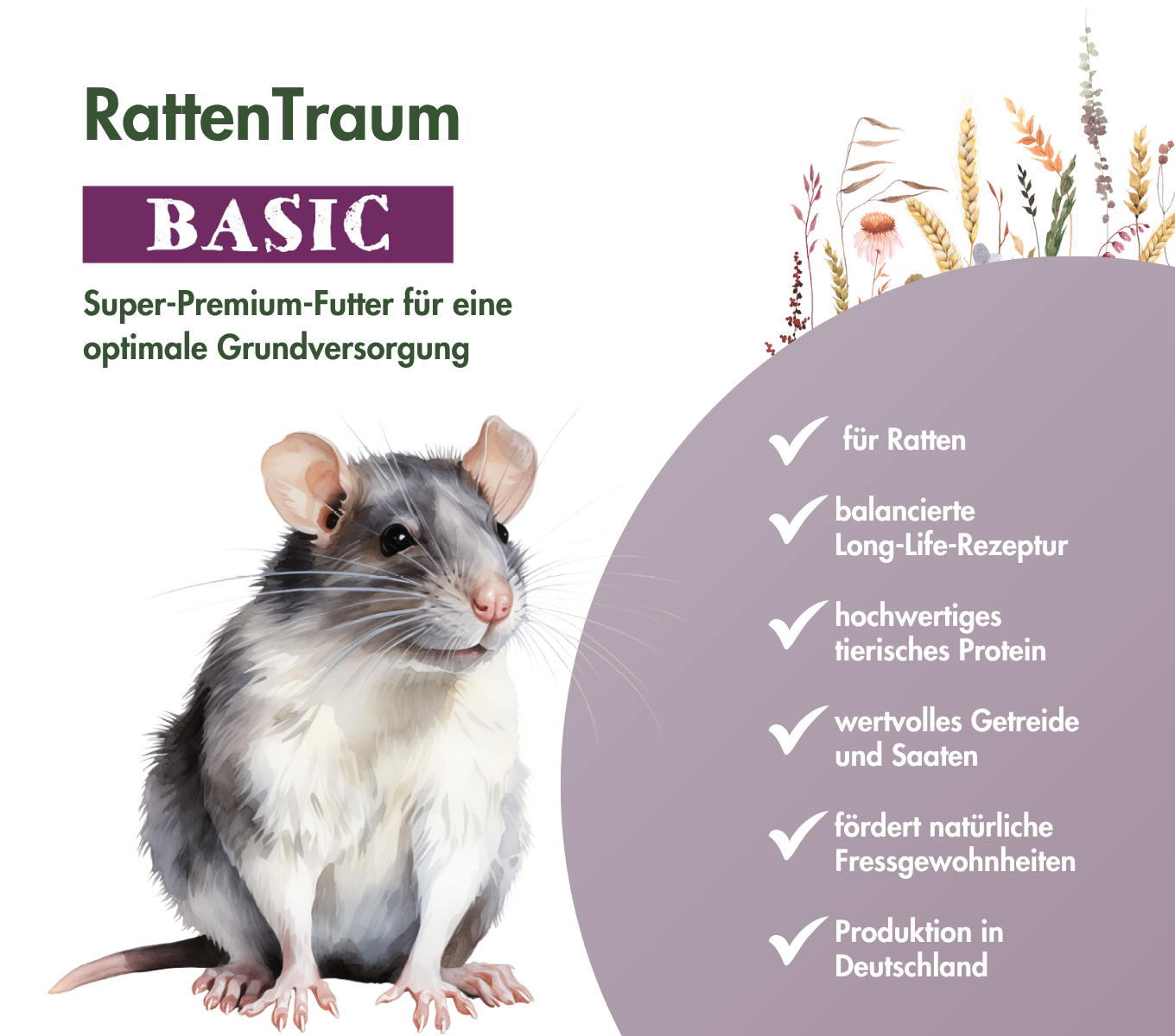 RattenTraum BASIC