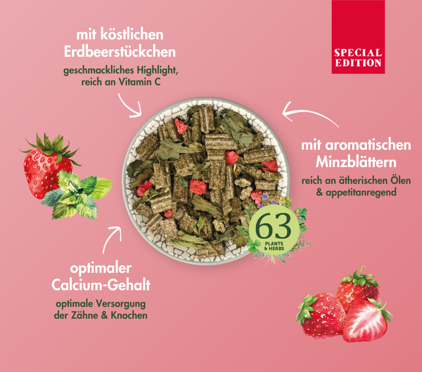 KaninchenTraum SPECIAL EDITION STRAWBERRY-MINT